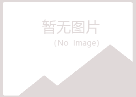 大新县碧琴化学有限公司